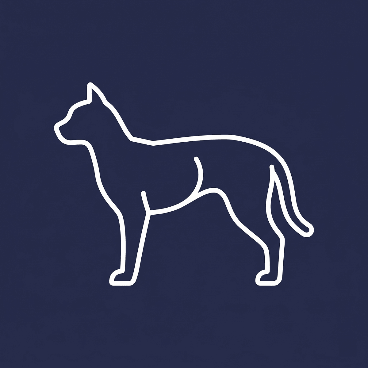 Ideal: slight tuck behind ribs